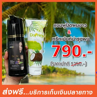 1 แถม 1 DayHerb แชมพูปิดผมขาว และทรีทเม้นท์บำรุงผม สมุนไพรแท้ 100% ปิดหงอก ลดร่วง ใน 5 นาที