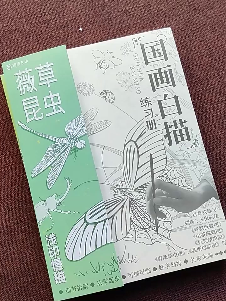 darby-หนังสือสอนวาดภาพระบายสีด้วยมือ-วาดภาพระบายสีมือ-วาดเส้น-ฝึกวาดภาพ-เรียนภาษาจีน-80-หน้า-ต่อเล่ม-สําหรับโรงเรียน