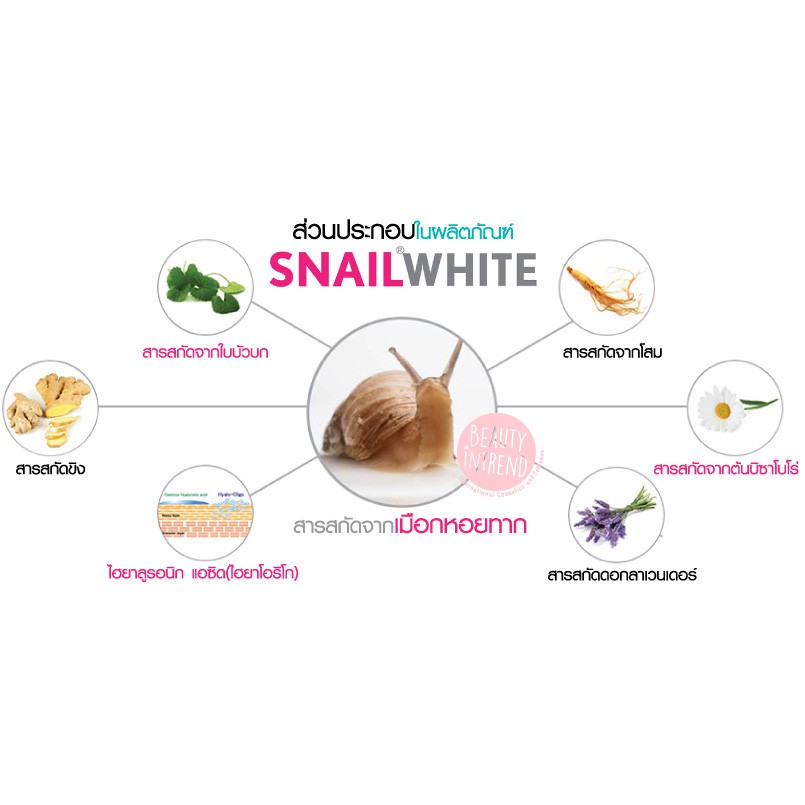 snailwhite-facial-cream-สเนลไวท์-เฟเชียลครีม-50g-ครีมทาหน้า