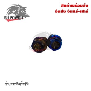 ภาพขนาดย่อของสินค้าน็อต อุดกระจก Heng screw (หัวเจาะ) HONDA YAMAHA น๊อต ทอง เงิน ไทเทเนี่ยม (1คู่)(0067)