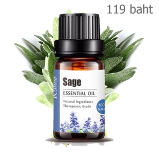 100% Sage Essential oil 10 ml. น้ำมันหอมระเหยเสจแท้ น้ำมันหอมสกัดจากธรรมชาติ น้ำมันหอมอโรมา อโรมาออย aromatic oil