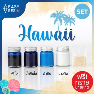 สีผสมเรซิ่น HAWAII SET  (ส่งฟรี) เมทัลลิคประกาย สีสด ใช้กับเรซิ่นทุกชนิด -Easy Resin