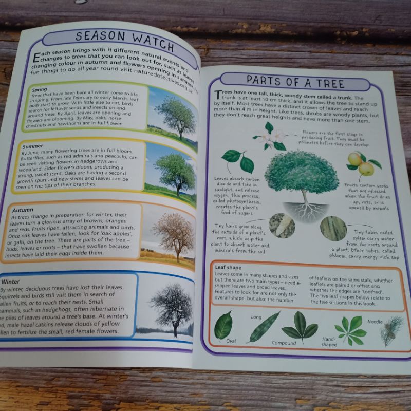 how-to-identify-50-species-มือสอง-spot50