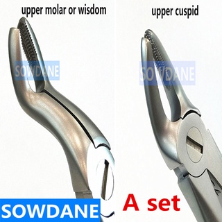 Stainless Steel Dental Tooth Extraction Forceps Adults Teeth Extracting Pliers Forcep Surgical Toothdental Instrument