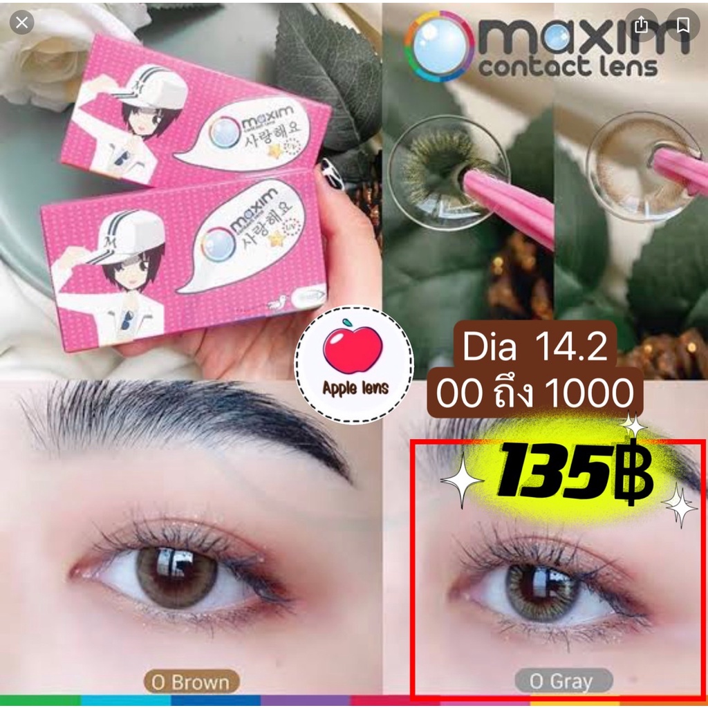 maxim-contact-lens-สี-o-gray-dia-14-2-เลนส์เล็ก-คอนแทคเลนส์สี-กล่องชมพู