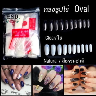 เล็บ PVC สำหรับต่อเล็บ ทรงไข่ Oval อย่างดี แยกเบอร์ 10 เบอร์ จำนวน 500 ชิ้น มีสีขุ่นและใส