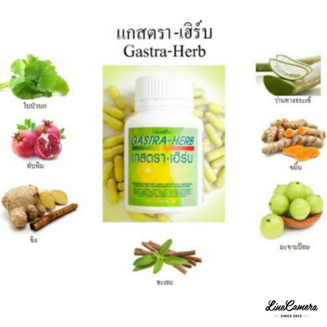 ส่งฟรี-เก็บเงินปลายทาง-giffarine-gasta-herb-บรรเทาอาการกรดไหลย้อน-โรคกระเพาะ