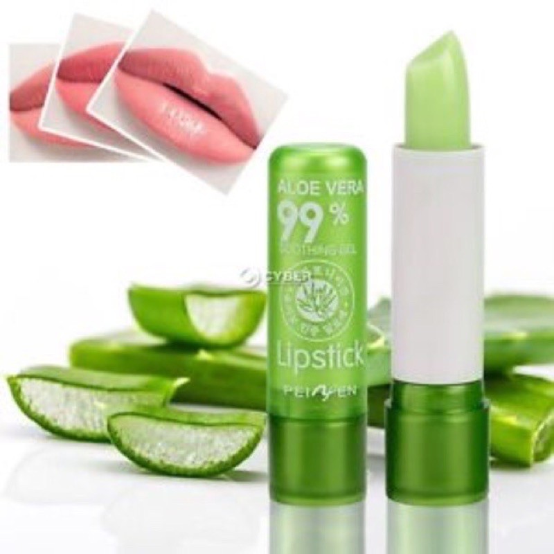 ขายยกกล่อง12ชิ้นนะคะ-ลิปสติก-ว่านหางจระเข้-aishali-aloe-vera-99-lip