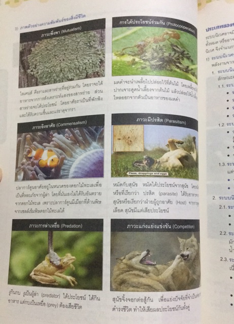 science-สรุปวิทยาศาสตร์ม-ต้น