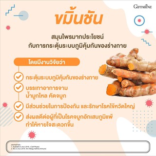 ภาพขนาดย่อของภาพหน้าปกสินค้า(ส่งฟรี) ขมิ้นชัน ชมิ้นชันแคปซูล ขมิ้นชันสกัด กิฟฟารีน  เคอร์คิวมา ซี-อี กิฟฟารีน ลดอาการ แน่นท้อง ท้องอืด จากร้าน jira.giffarine บน Shopee ภาพที่ 1