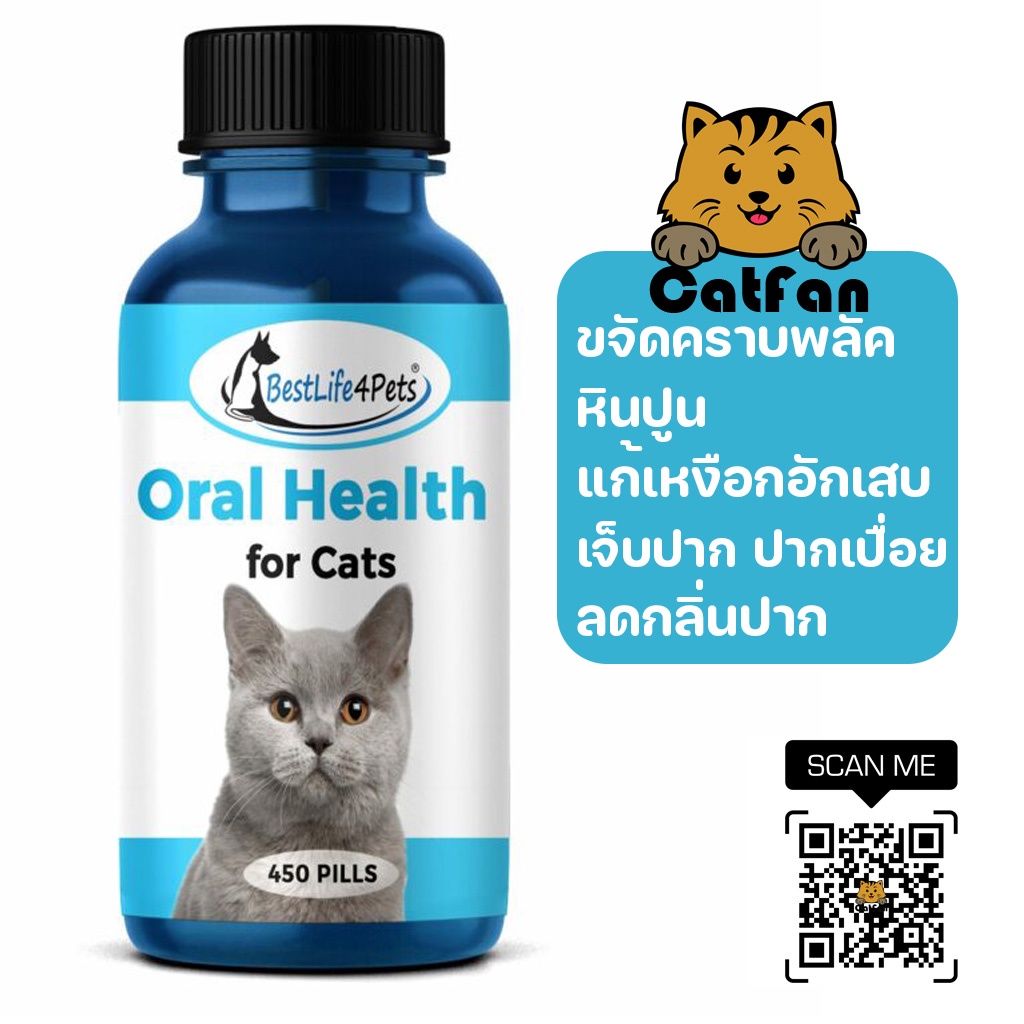 catfan-พร้อมส่ง-วิตามินสำหรับแมวดูแลเหงือก-ฟัน-ช่องปาก-exp-12-23