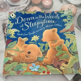 หนังสือปกอ่อน Down in the Woods at Sleepy Time มือสอง