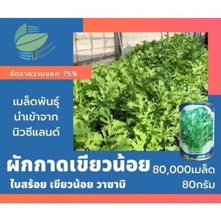 ผักกาดเขียวน้อย (Leaf Mustrad)