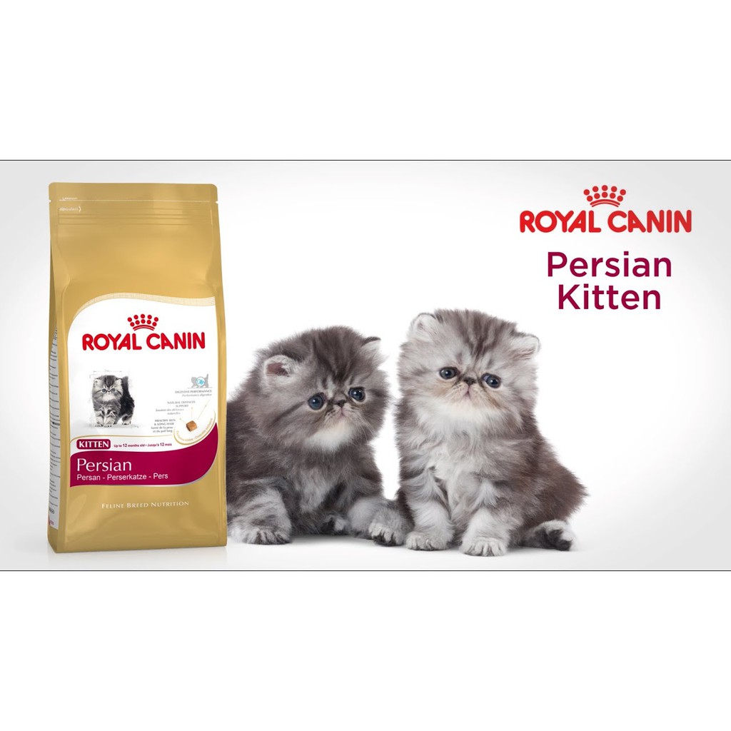 แบ่งขาย-royal-canin-1-กิโลกรัม-สูตร-เปอร์เซีย-แมวเด็ก-สำหรับแมวเด็กพันธุ์เปอร์เซีย