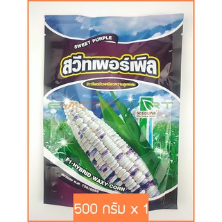 🌱 500g SEEDLINE เมล็ดพันธุ์ ข้าวโพดข้าวเหนียวหวานลูกผสม พันธุ์สวีทเพอร์เพิล (Sweet Purple F1 Hybrid Waxy Corn)