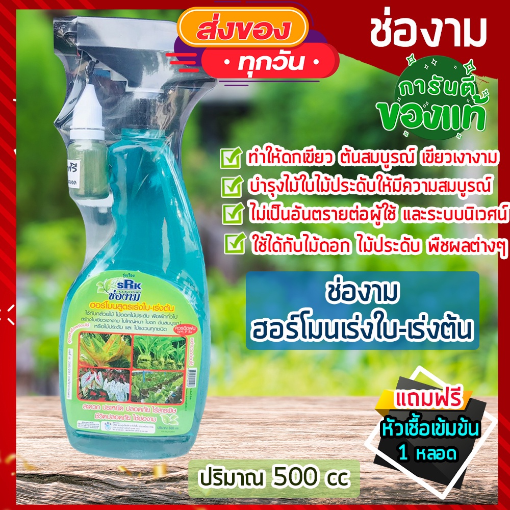 ถูกทีสุด-ช่องาม-สเปรย์-ชีวภาพ-500-ml-แถมฟรี-หัวเชื้อ-สำหรับพืชทุกชนิด-เร่งต้น-ใบ-เร่งดอก-กำจัดเชื้อรา-แมลง-ศัตรูพืช