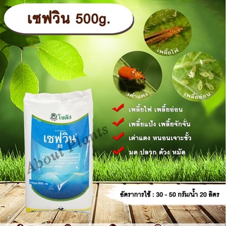 เซฟวิน 500g. คาร์บาริล สารกำจัดแมลง เพลี้ยไฟ เพลี้ยอ่อน เพลี้ยแป้ง เต่าแตง หนอนเจาะ มด ปลวก ด้วง หมัด allaboutplants