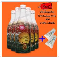 ภาพหน้าปกสินค้าเครื่องดื่มสมุนไพร โพชง Pochong เครื่องดื่มบำรุงสุขภาพ 5 ขวดใหญ่ จัดส่ง ฟรี เก็บปลายทาง จากร้าน supplement888 บน Shopee