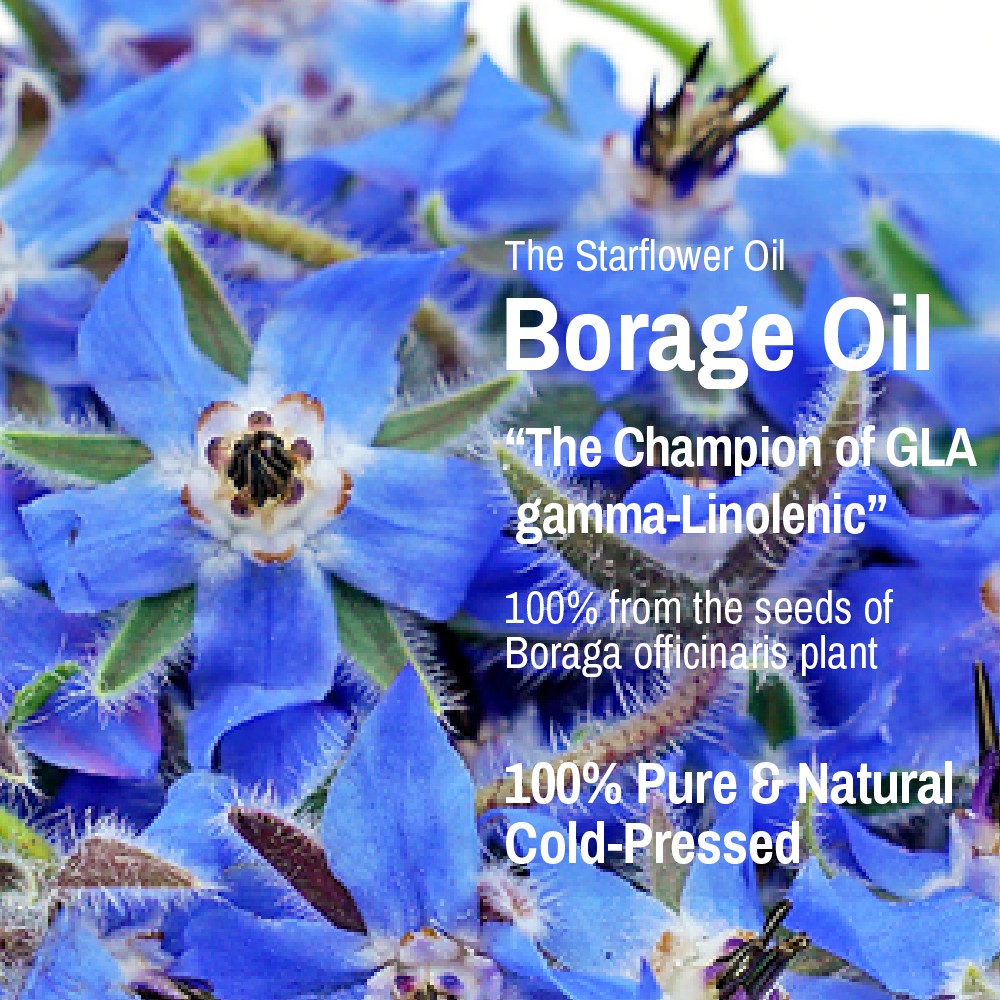 น้ำมันโบราจ-โบราจออยล์-บริสุทธิ์แท้-100-สกัดเย็นเกรดพรีเมี่ยม-glass-bottle-borage-oil-borage-seed-starflower-oil-cold