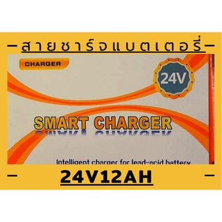 แบตเตอรี่สกูตเตอร์ไฟฟ้า สำหรับสายชาร์จแบตเตอรี่24v ตรงรุ่นมาตรฐานคัดสรรโดยเฉพาะสกูตเตอร์ไฟฟ้า