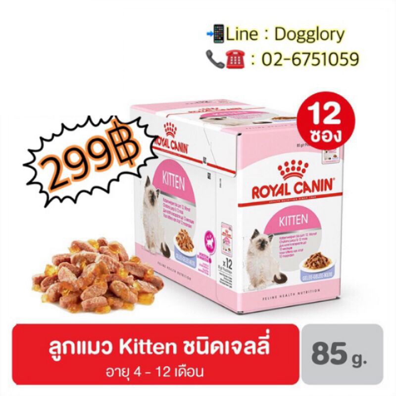 royal-canin-kitten-jelly-สูตรลูกแมวอายุไม่เกิน-1-ปี