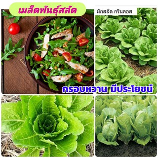 เมล็ดพันธุ์สลัดเกรดเอ 🍀หวานกรอบ🍀อร่อยมีประโยชน์🌱ปลูกเพื่อจำหน่ายหรือรับประทานในครัวเรือน