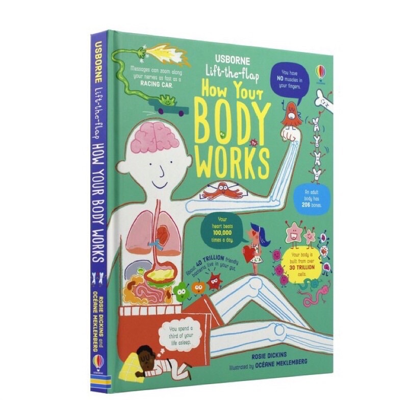 หนังสือร่างกายมนุษย์-หนังสืออวกาศระบบดวงดาวและทางช้างเผือกpop-up-how-your-body-works-พร้อมส่ง