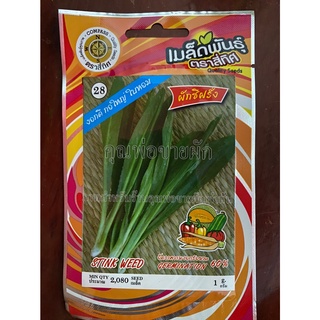 เมล็ดผักชีฝรั่ง 10 แถม 1 ผักชีฝรั่ง stink weed เมล็ดพันธุ์ผัก