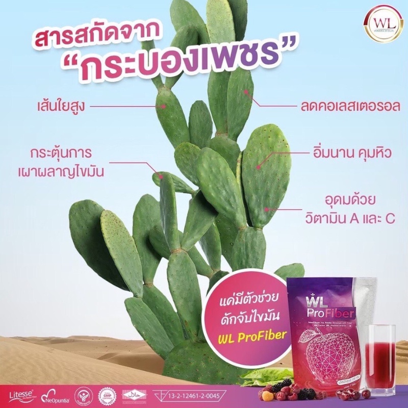 ส่งฟรี-ไม่ต้องใช้โค้ด-wl-pro-fiber-profiber-สูตรผสมไฟเบอร์-และกระบองเพชร-ช่วยในการขับถ่าย-ดีท็อกลำไส้-1-แพ็ค-7-ซอง