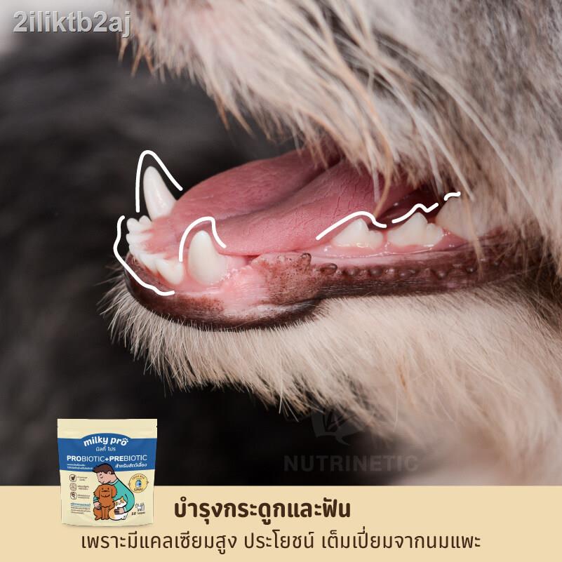 milky-pro-อาหารเสริมสัตว์เลี้ยง-โพรไบโอติกในรูปแบบนมแพะอัดเม็ด-ทานง่ายเหมือนขนม-ทานได้ทั้งสุนัข-แมว-ช่วยปรับสมดุลระบบทาง