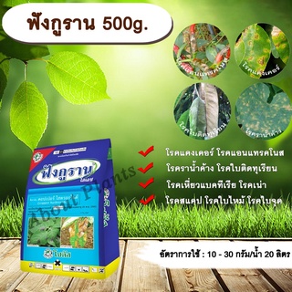 ฟังกูราน 500g. คอปเปอร์ไฮดรอกไซด์ สารกำจัดเชื้อรา สารกำจัดแบคทีเรีย โรคแคงเคอร์ โรคแอนแทรคโนส โรคราน้ำค้าง allaboutplant