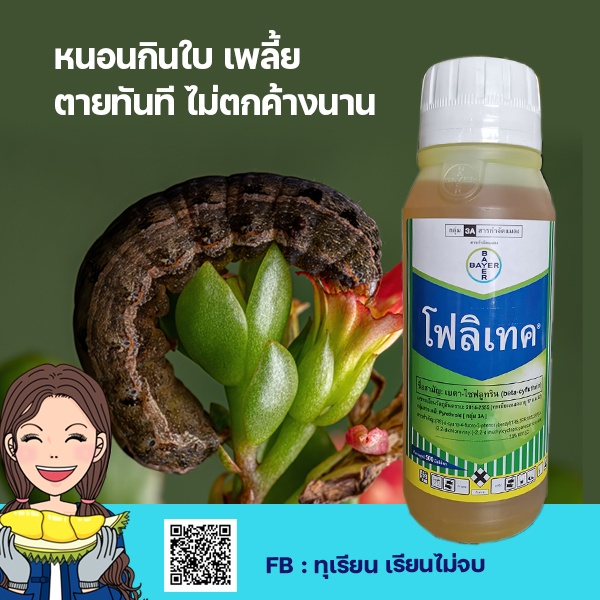 โฟลิเทค-สารกำจัดแมลงชนิดสัมผัส-หนอนหนอนกินใบ-หนอนบอนสี-เพลี้ย-แมลงต่างๆ-ไม่ตกค้างนาน