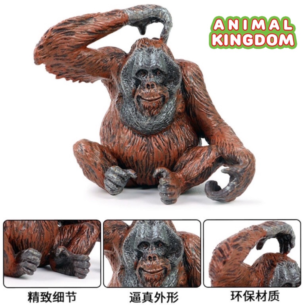 animal-kingdom-โมเดลสัตว์-ลิง-อุรังอุตัง-ขนาด-8-00-cm-จากหาดใหญ่