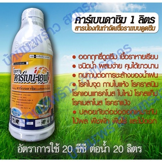 คาร์เบนดาซิม 1 L คาร์เบนแบบดูดซึม ป้องกันกำจัด โรคใบจุด โรคใบไหม้ ราสนิม แอนแทรคโนส กาบใบแห้ง ป้องกันกำจัดเชื้อราในพืช