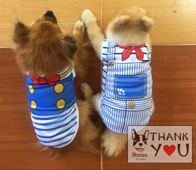 ภาพสินค้าร้านไทย ️ เสื้อหมา เสื้อแมว เสื้อผ้าสัตว์เลี้ยง (มีไซส์ 1-6) ลายน่ารักสีสด จากร้าน boozepetshop บน Shopee ภาพที่ 4