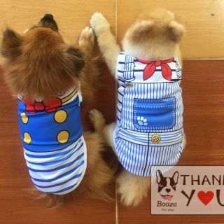 ภาพขนาดย่อของภาพหน้าปกสินค้าร้านไทย ️ เสื้อหมา เสื้อแมว เสื้อผ้าสัตว์เลี้ยง (มีไซส์ 1-6) ลายน่ารักสีสด จากร้าน boozepetshop บน Shopee ภาพที่ 4