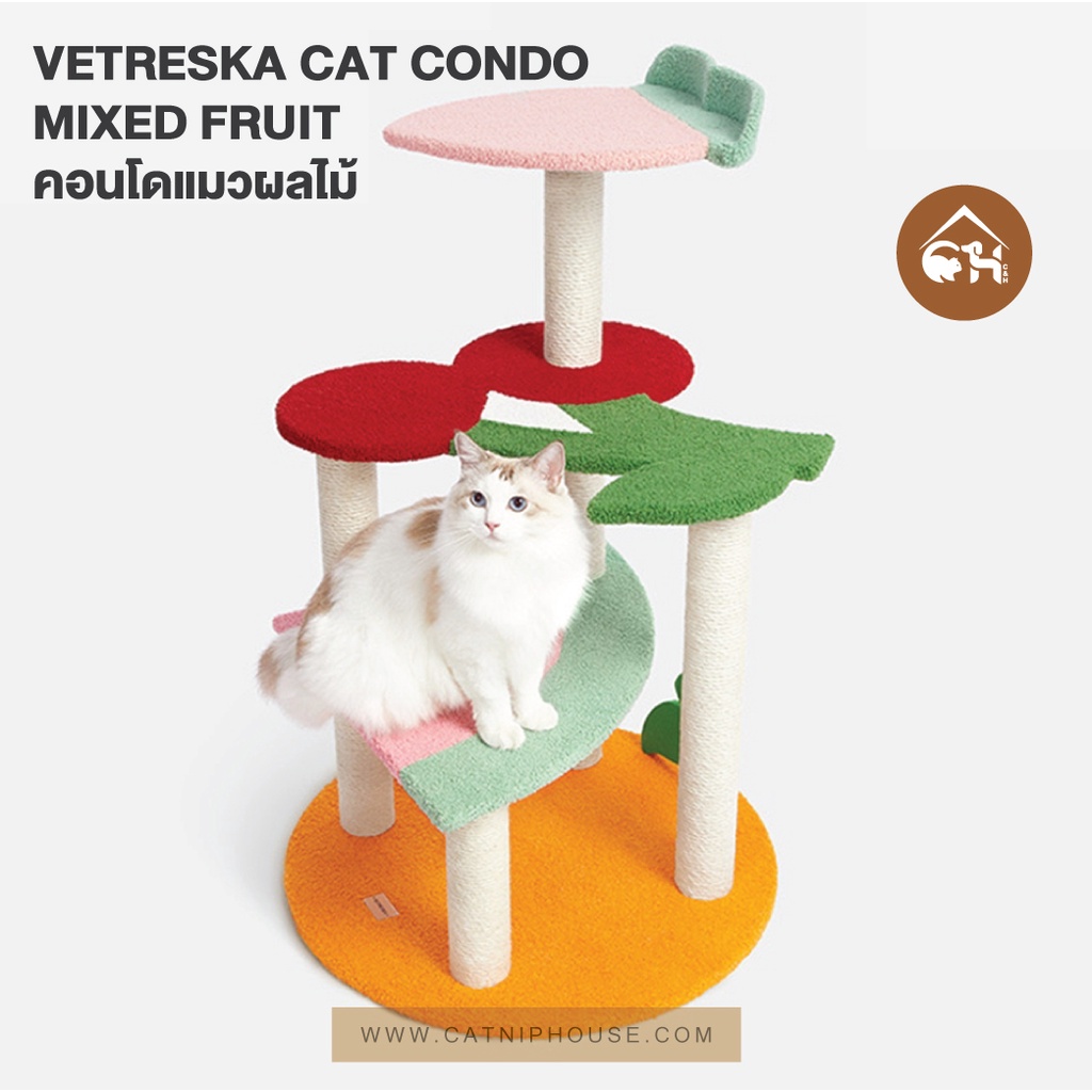 ของแท้-ถูกสุด-พร้อมส่ง-vetreska-cat-condo-mixed-fruit-คอนโดแมว-ผลไม้-สำหรับสัตว์-เลี้ยง