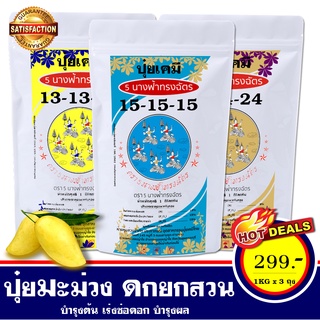 ปุ๋ยบำรุงต้นมะม่วง สูตรเร่งต้น เร่งดอก บำรุงผล ให้มะม่วงผลดก ใหญ่ รสชาติดี ขายได้ราคา ตรา 5 นางฟ้าทรงฉัตร (1 ชุด 3 สูตร)