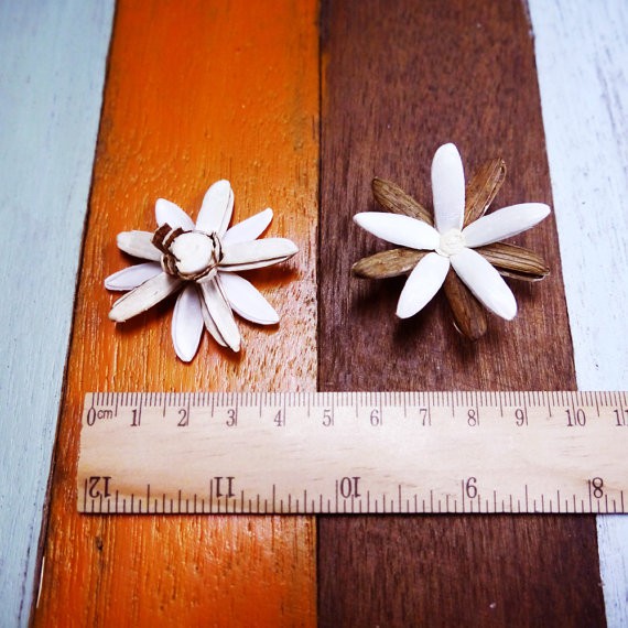 ดอกเล็บมือนาง-rangoon-creeper-sola-flower-ขนาด-4-ซม