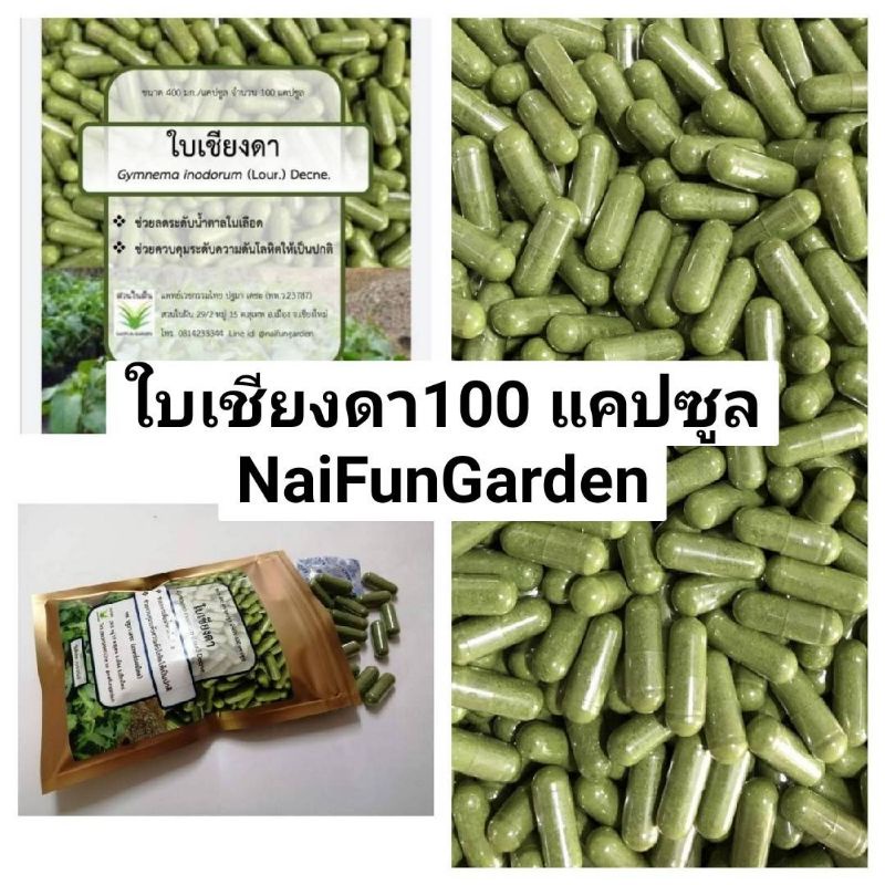 ภาพหน้าปกสินค้าชุดใหม่มาแล้วค่ะ​ เชียงดาแคปซูล 100 แคปซูล จากร้าน nai207 บน Shopee