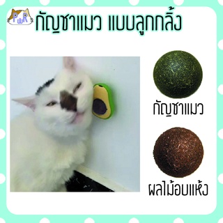 ภาพหน้าปกสินค้ากัญชาแมว แบบลูกกลิ้งติดผนัง catnip ball [อโวคาโด] ที่เกี่ยวข้อง