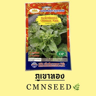 เมล็ดพันธุ์ คะน้าฮ่องกง CHINESE KALE ตราภูเขาทอง ปริมาณ 0.5 กรัม