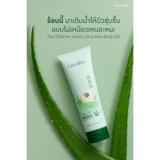 โลชั่น-กิฟฟารีน-สโนว์-โลตัส-อโล-บอดี้-เจล-snow-lotus-aloe-body-gel-สารสกัดจากว่านหางจระเข้ออร์แกนิค-ผสมสารสกัดบัวหิมะ