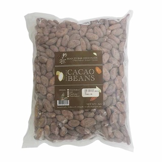 เมล็ดโกโก้ Raw Dried CaCao Beans (1kg) เมล็ดโกโก้แห้งจันทบุรี โกโก้จันท์