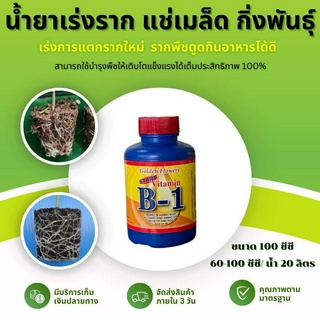 B1 Vitamim ยาเร่งราก (100ซีซี) แช่เมล็ด แช่กิ่งพันธุ์ น้ำยาเร่งราก B-1 บี1 วิตามินบี1 VitamimB1