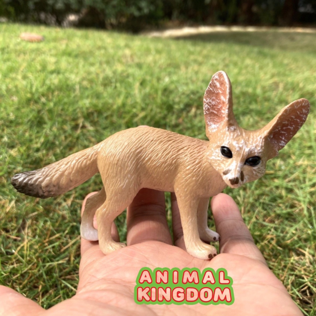 animal-kingdom-โมเดลสัตว์-หมาจิ้งจอกเฟนเนก-ขนาด-11-50-cm-จากหาดใหญ่