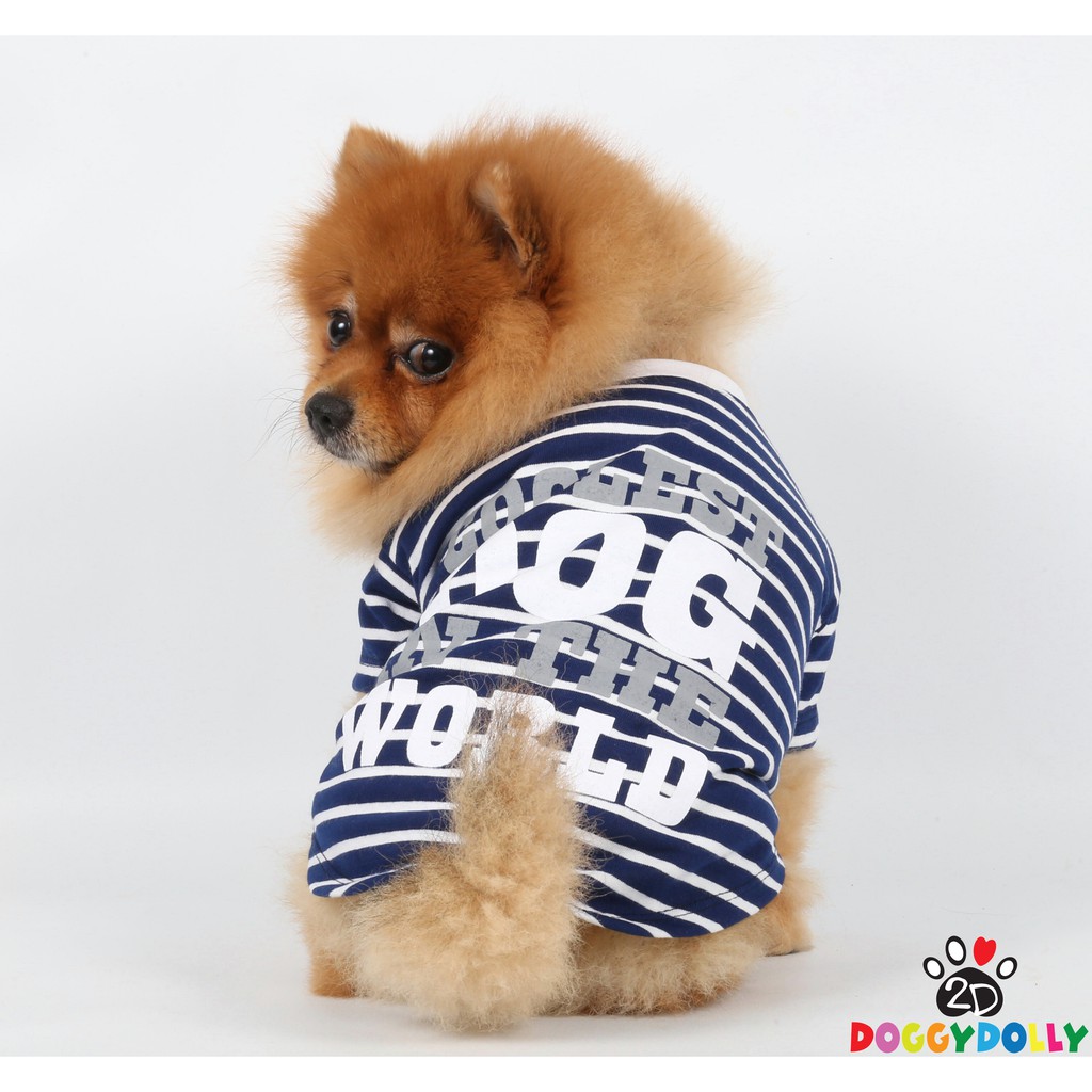 pet-clothes-doggydolly-เสื้อยืด-ชุดหมาอ้วน-เฟร้น-ปั๊ก-บีเกิ้ล-บลูด็อก-เสื้อผ้าสุนัข-เสื้อหมา-หมาอวบ-fp-t280