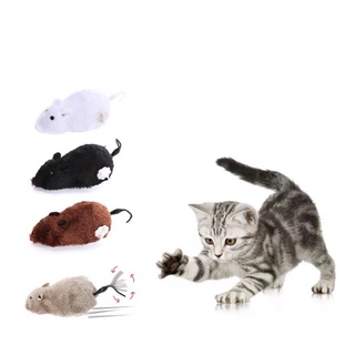 ภาพขนาดย่อของภาพหน้าปกสินค้าของเล่นแมว หนูไขลาน หลากสี ของเล่นสัตว์เลี้ยง ของเล่นไขลาน จากร้าน chic_chic9988 บน Shopee ภาพที่ 4