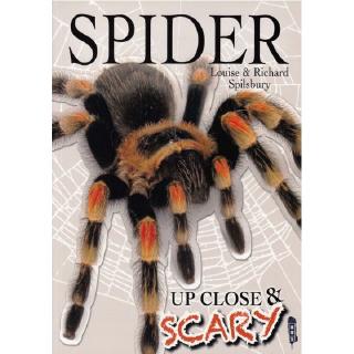 DKTODAY หนังสือ UP CLOSE &amp; SCARY :SPIDER