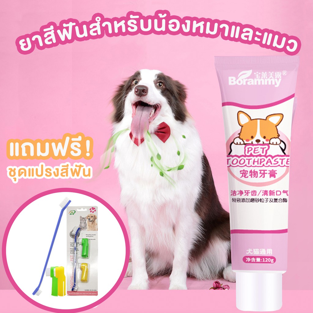ภาพหน้าปกสินค้า1 แถม 1 ยาสีฟันหมาแมว  ยาสีฟันสุนัข ยาสีฟันแมว ลดหินปูนสะสม ยับยั้งแบคทีเรีย ปริมาณ 120g จากร้าน ft_shop2021 บน Shopee